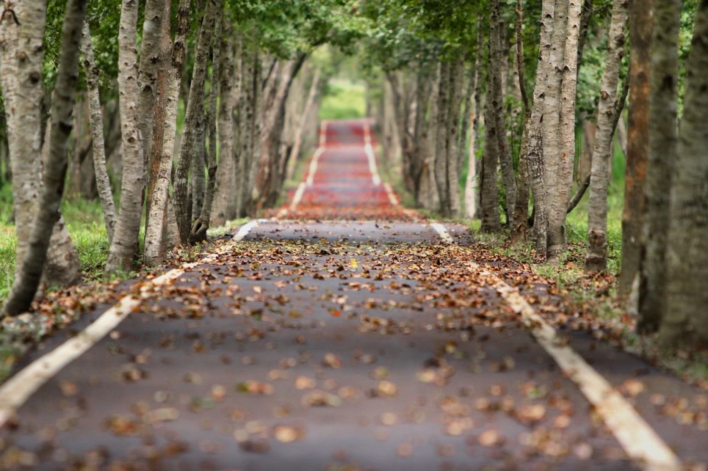 Romantic Road